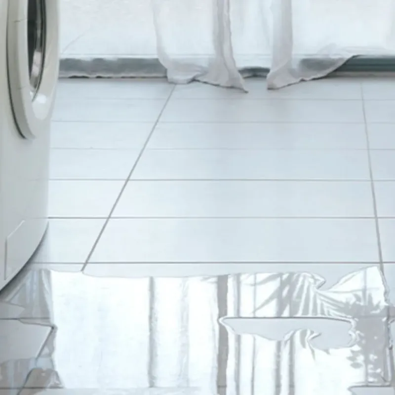 Appliance Leak Cleanup in Doffing, TX