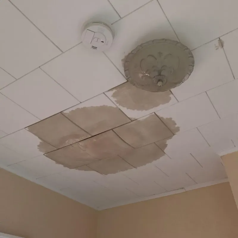 Ceiling Water Damage Repair in Doffing, TX