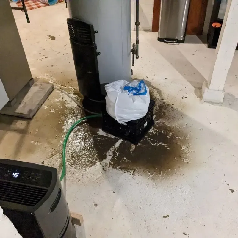 Sewage Backup Cleanup Service in Doffing, TX